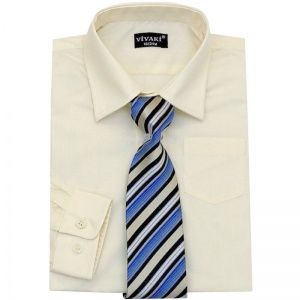 Boys Cream Formal Shirt & Tie Box Set